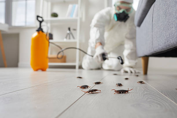 Commercial Kitchen Cockroach Control in Fruit Heights